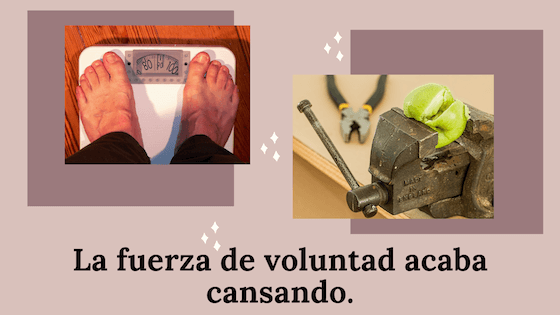 mitos nutricionales y fuerza de voluntad.