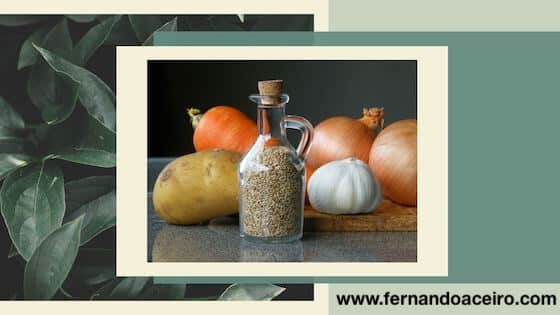 fibra como alimento