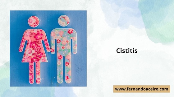 arandanos cistitis